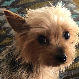 Meet your Posher, Eva